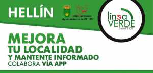 LINEA VERDE